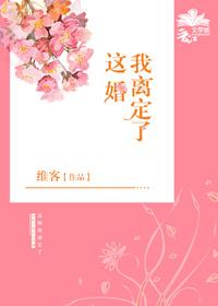 这婚我离定了简介