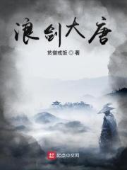大唐浪涌套