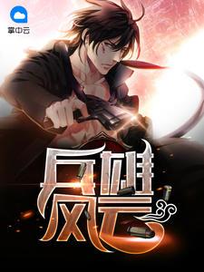 兵雄风云叶轻魂完整版