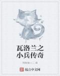 瓦洛兰之盾