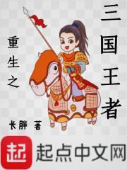 三国之三国王者