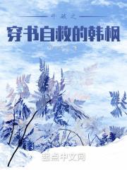 斗破之韩枫重生