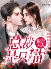 报告夫人总裁有妖气