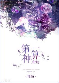 第一神算谁最厉害