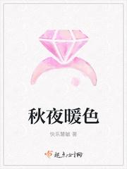 贴身兵王全集
