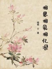 相思相念不相见下一句