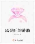 叶的飘落是风的追求