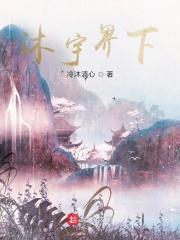 苏沐免费阅读