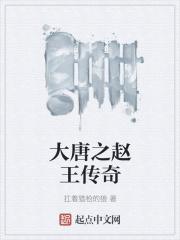 穿越大唐成皇子赵煦