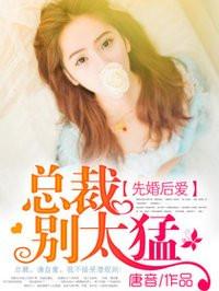 先婚后爱总裁别太坏 乞儿