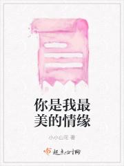 你是我最美的情缘歌曲