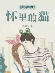 你是我的怀中猫