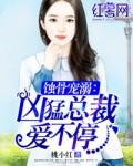 蚀骨强宠总裁妻最新