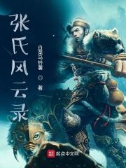张氏风云录起点
