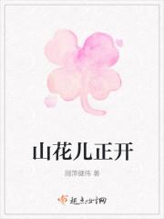 山上的山花开呀
