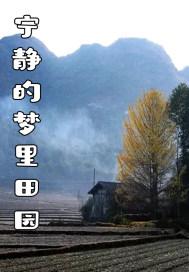 宁静的乡田