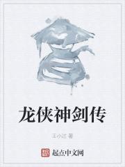 神龙剑侠懒布衣