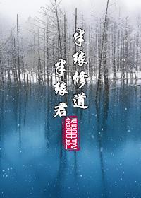 半缘修道半缘君结局