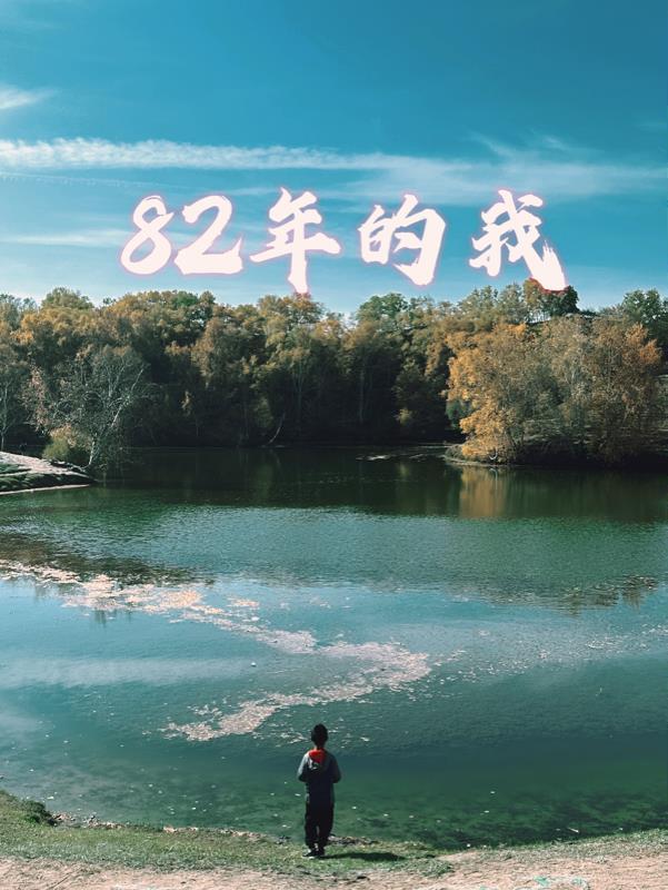 你帮我查一下1982年