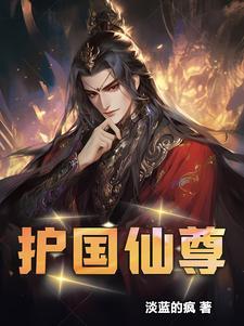 护国神帅免费全文阅读