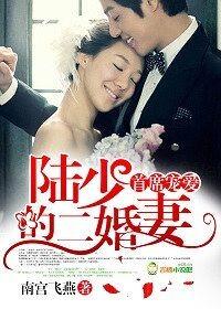 陆少宠妻天下第一全文免费阅读