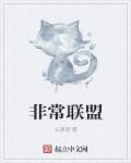 非常搭档在线播放