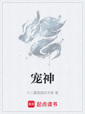 宠神十二翼TXT