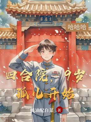 四合院9岁孤儿开始