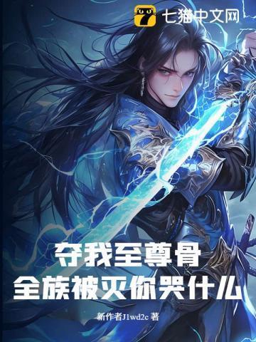 夺天至尊