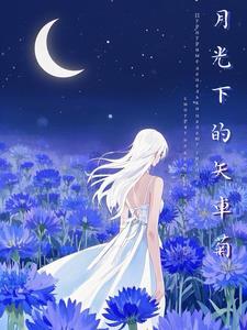 月光下的小汽车阅读