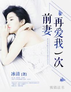 前妻再爱我一次txt书包