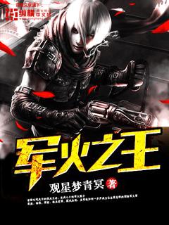 军火之王免费阅读