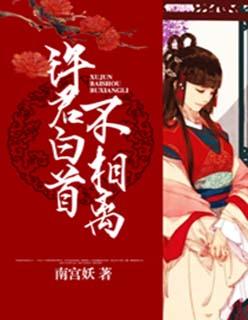 许君白头终不悔免费阅读