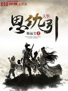 大华是什么电视剧