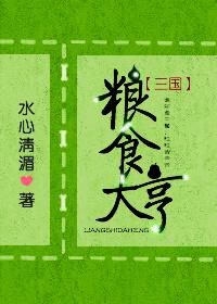 粮食大亨三国