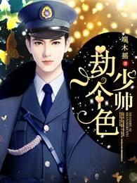 少帅 什么意思