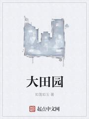 大田园TX
