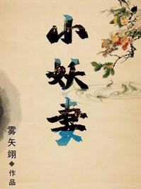 夫君是未来大魔王怎么办在线阅读
