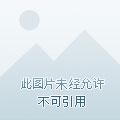 明星之薪
