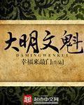 大明文魁TXT笔趣阁