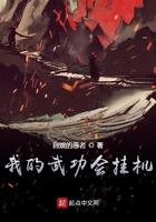 我的武功会挂机 顶点
