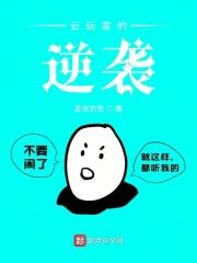 云玩家的概念