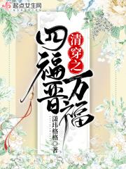 清穿之四福晋