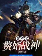 都市之嗷婿战神