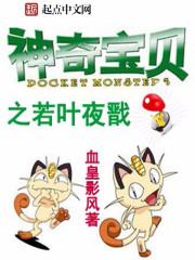 神奇宝贝之雨夜