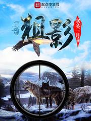 全球狙杀完整版免费阅读