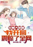 至尊大明星系统