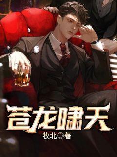 主角叫秦如凉沈娴的