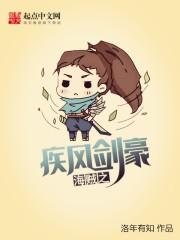 海贼之疾风剑豪 顶点