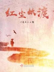 红尘渡 洞藏玄机